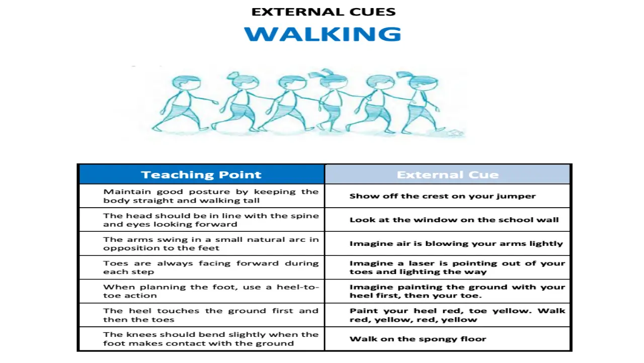 Teaching Cues in Physical Education Verbal Instruction The Go 2